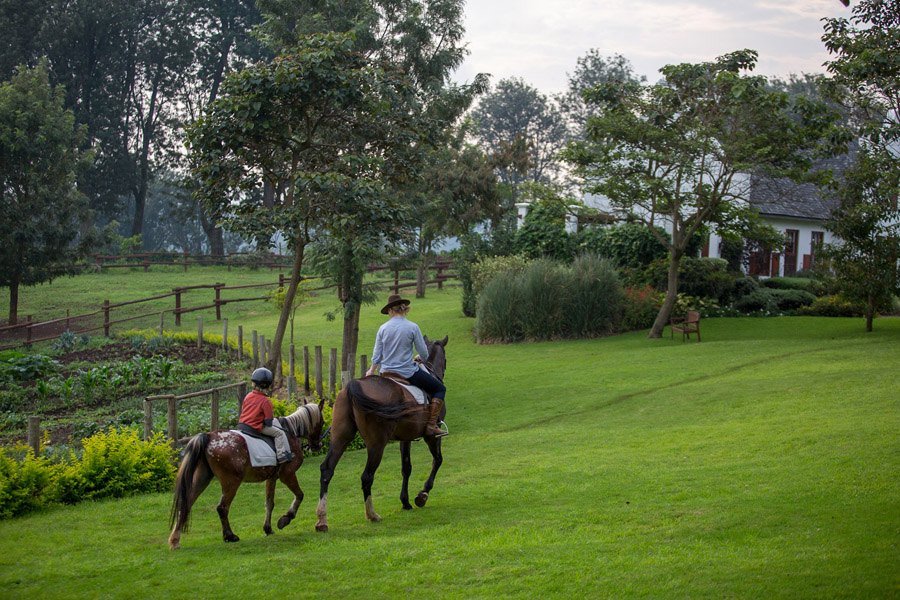 Serene family trot, The Manor, Ngorongoro.