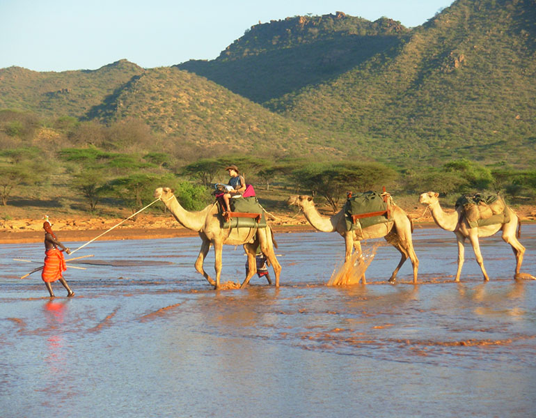 Karisia Walking Safaris - Camel Riding river crossing