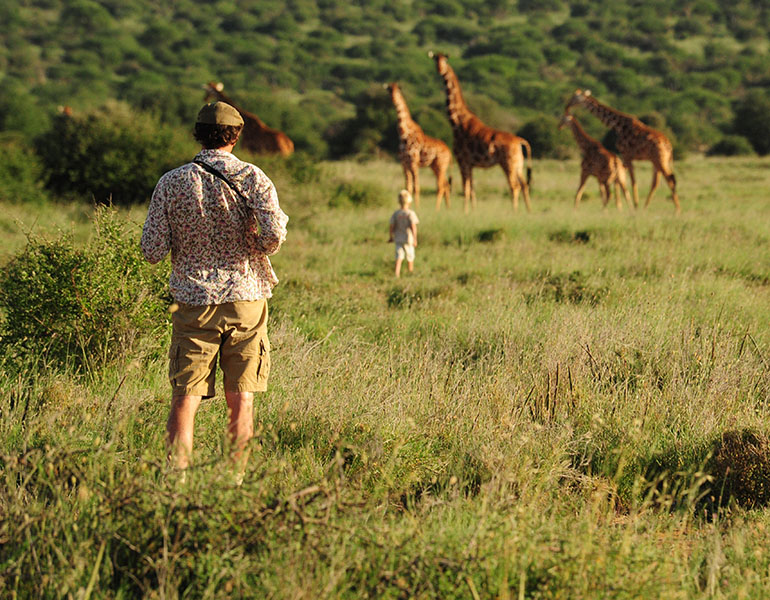 Karisia Walking Safaris Game Viewing Giraffe