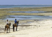 Horseriding, Diani Beach.