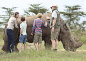 Ol Pejeta Bush Camp Activities Rhino Interaction