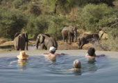 Sarara Swimming Pool View to Waterhole Elephant