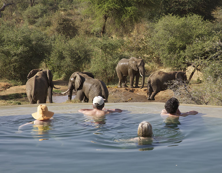 Sarara Swimming Pool View to Waterhole Elephant