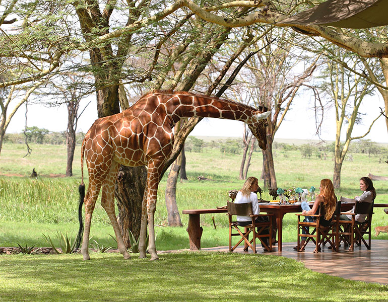 Sirikoi Activities Nditu Resident Giraffe Deck