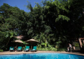 Arusha Coffee Lodge - Swimming Pool (c)Silverless