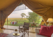 Elephant Pepper Camp - accommodation - family & honeymoon tent - living room-1