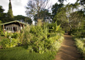 Gibb's Farm Guest Cottage Exterior