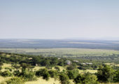 Mara Bushtops Camp View