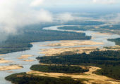 Sand Rivers Selous Aerial Rufiji River