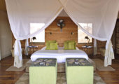 Sayari Camp Guest Tent Double Interior