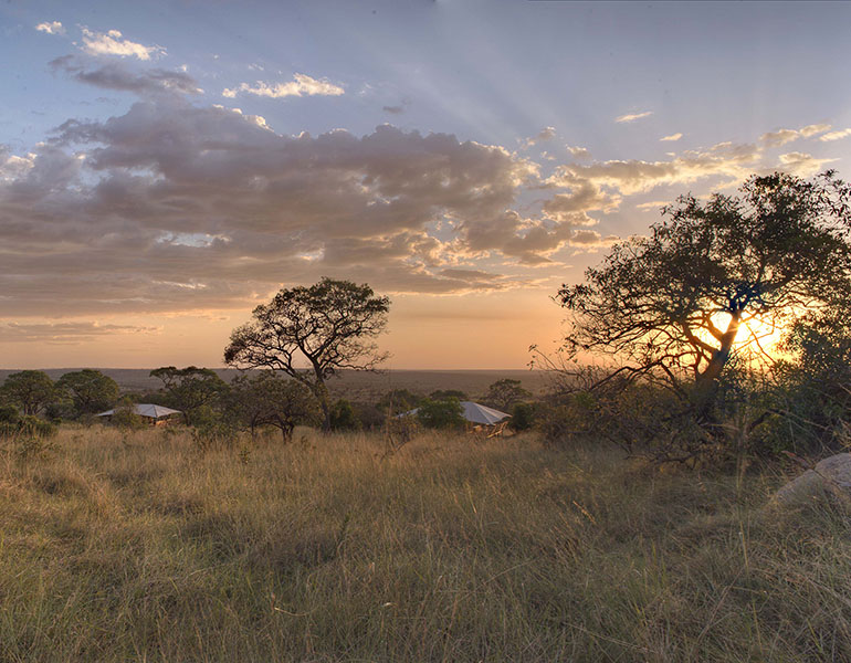 Serengeti Bushtops Exterior Dusk