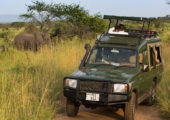 Serengeti Migration Camp - Game Drive Elephant (c) Silverless