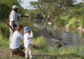Serengeti Migration Camp - Guided Bush Walk Grumeti River (c) Silverless