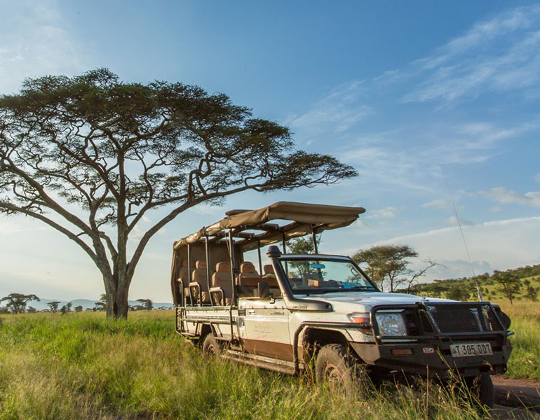 Serengeti Roving Bushtops Game Drive