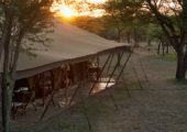 Serian's Serengeti North Mess Tent Exterior Dawn