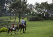 The Manor - Horse Riding 2 (c) Silverless