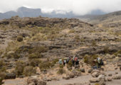 Cheli & Peacock Safaris Mount Kilimanjaro Conquest 3