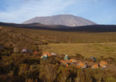 Cheli & Peacock Safaris Mount Kilimanjaro Conquest 4