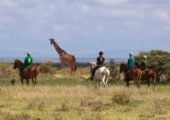 Elewana-Lodo-Springs---activities---horse-riding-in-the-conservancy-Mario-Moreno-3